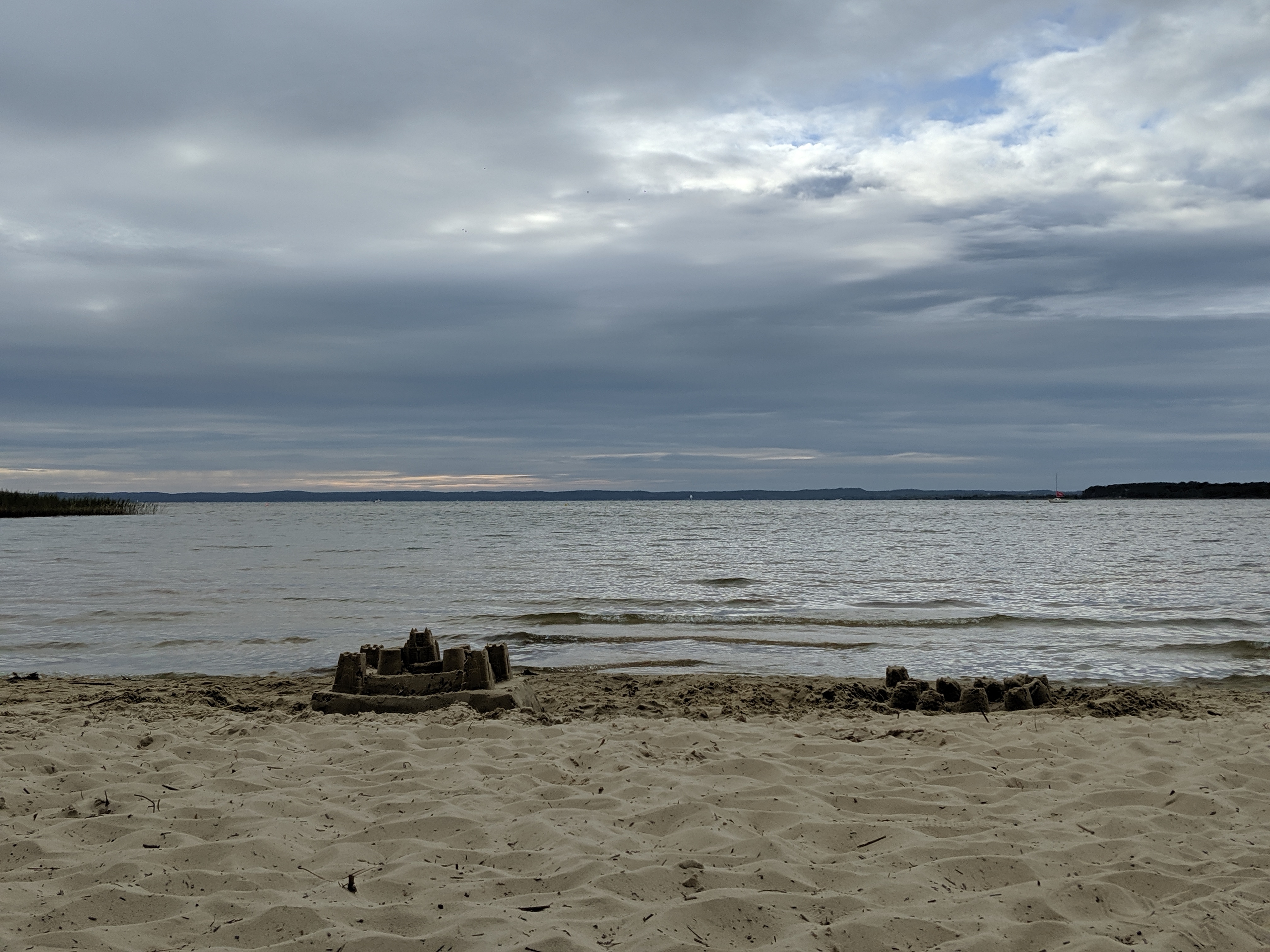 00000PORTRAIT_00000_BURST20190814190915652